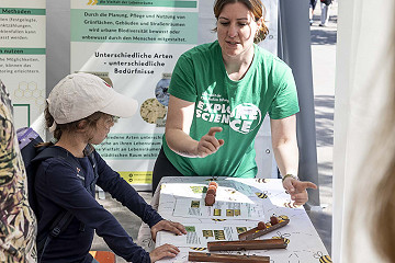 Wie können wir Wildbienen effektiv schützen? Das erklärten die Mitarbeitenden von Bee Friendly.